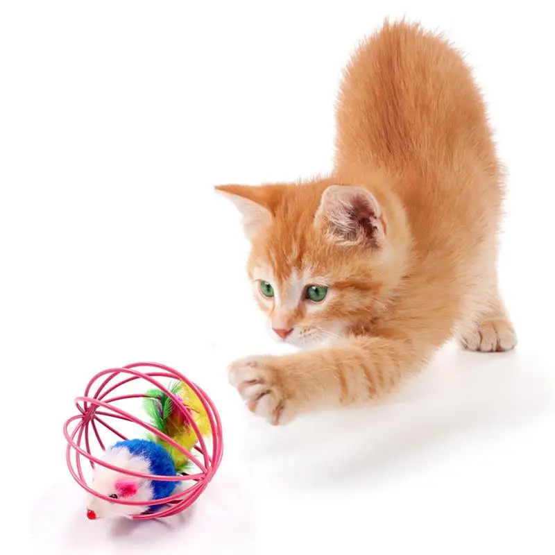 1pc Pet Cat Toy Smieklīgi Peles Būrī Kaķu Interaktīvā Rotaļlieta Kaķis Spēlēt Rotaļlietas Kaķis Peli, Rotaļlietas, Mājdzīvnieku preces Kaķis dod priekšroku Izlases Krāsa